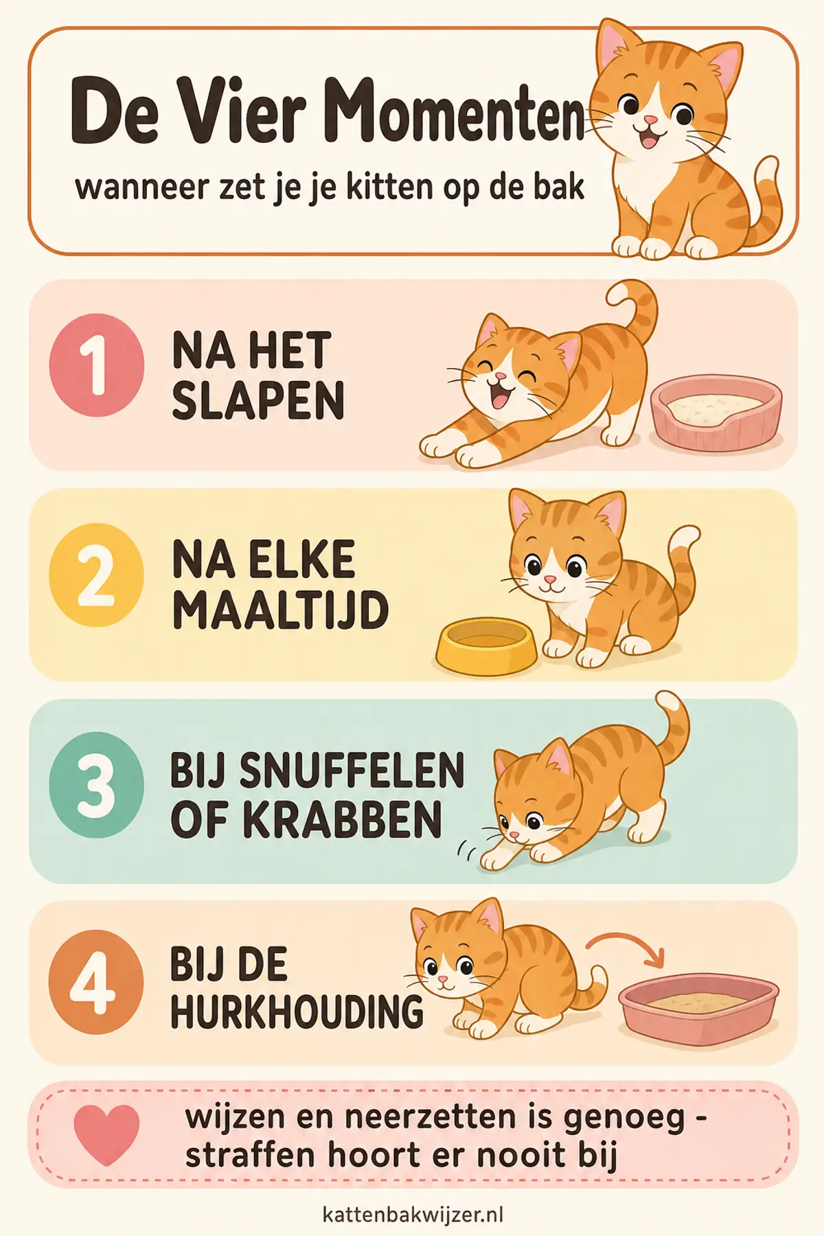 De Vier Momenten om een kitten op de kattenbak te zetten: na het slapen, na elke maaltijd, bij snuffelen of krabben, en bij de hurkhouding — wijzen en neerzetten is genoeg.