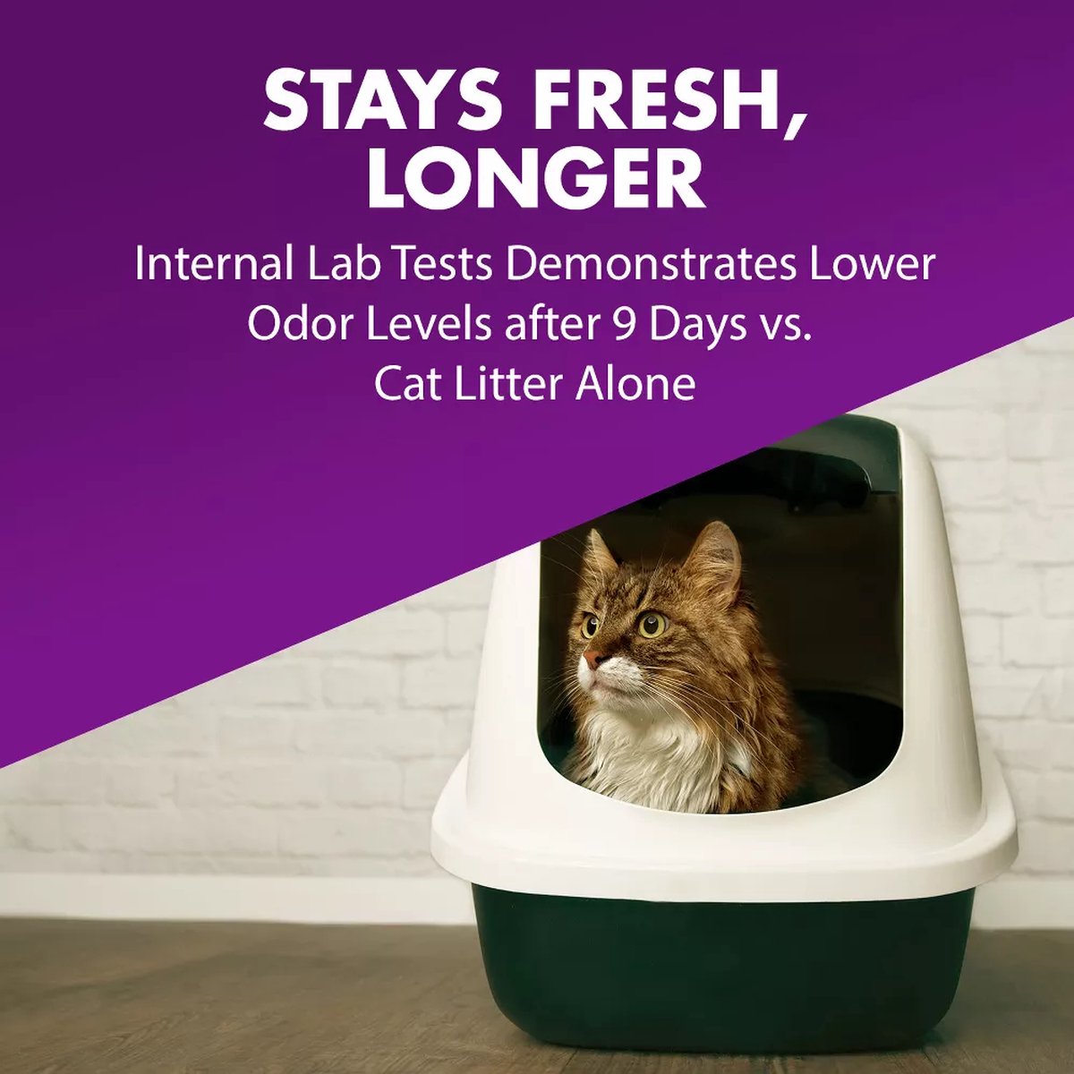 Arm & Hammer Kattenbak Geurverwijderaar – Double Duty – Odor Control – Katten