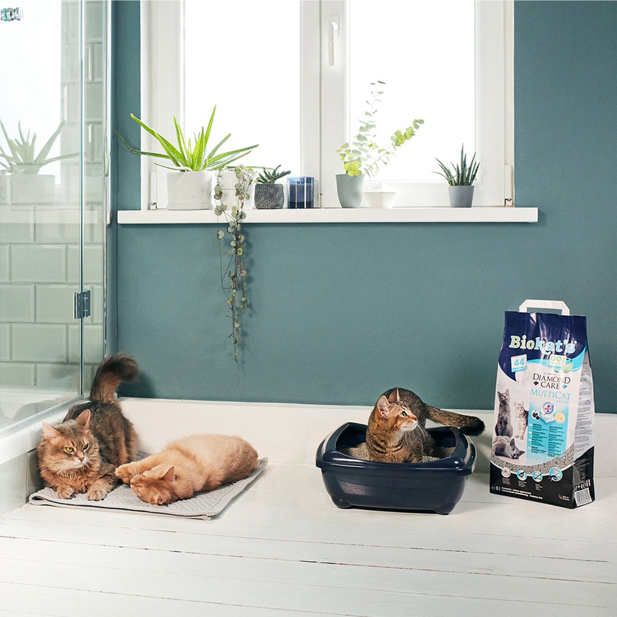 Miniatuur van productfoto 6 van Biokat's Diamond Care Multicat - Kattenbakvulling - 8 l