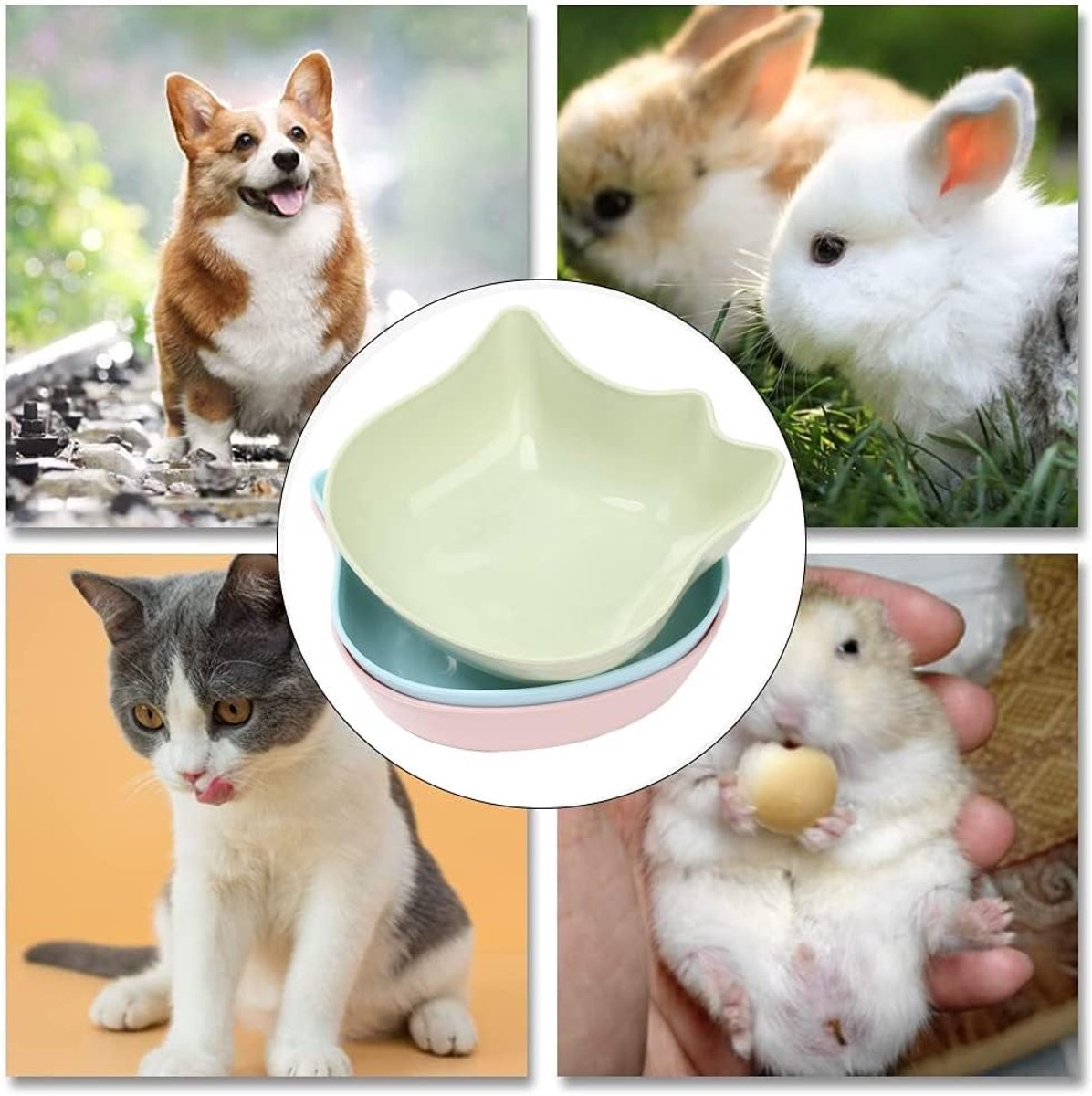 Productfoto 1 van Set of 6 Cat Bowls, Cat Feeder, Non-Slip Cat Feeder, Multi-Purpose Plastic Pet Water Bowl, Indoor Cat Kittens Puppies