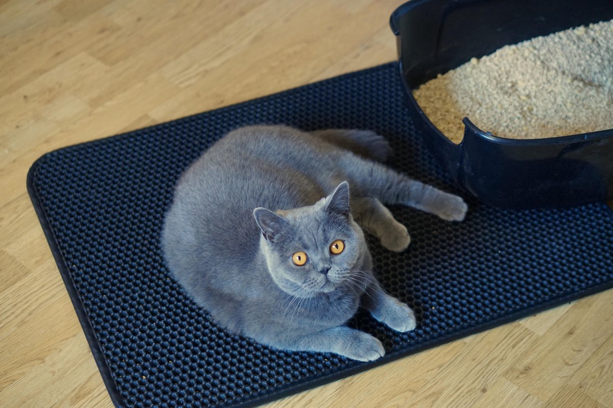 Productfoto 1 van Tastelio XXL Kattenbakmat - Grit opvanger - Waterdicht - 75 x 55 cm - Zwart