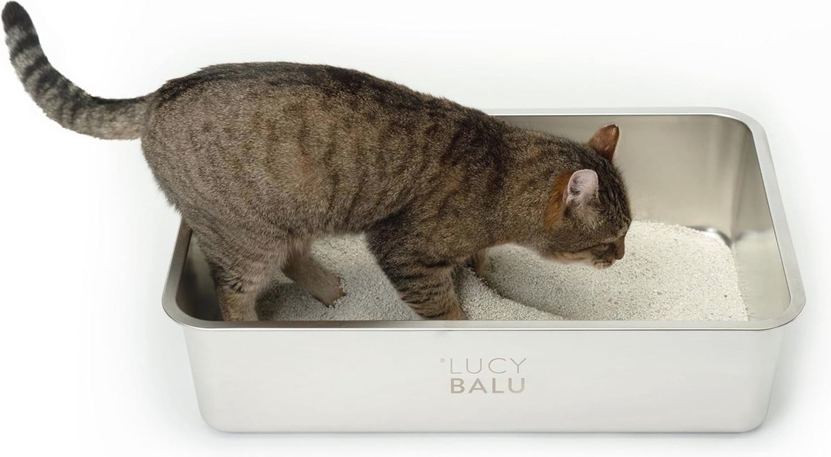 Miniatuur van productfoto 7 van Clord - RVS Kattenbak XXL - Geurvrije Open Kattenbak - Moderne Hop-in Kattenbak Zonder Deksel - Katten Toilet met RVS Kom