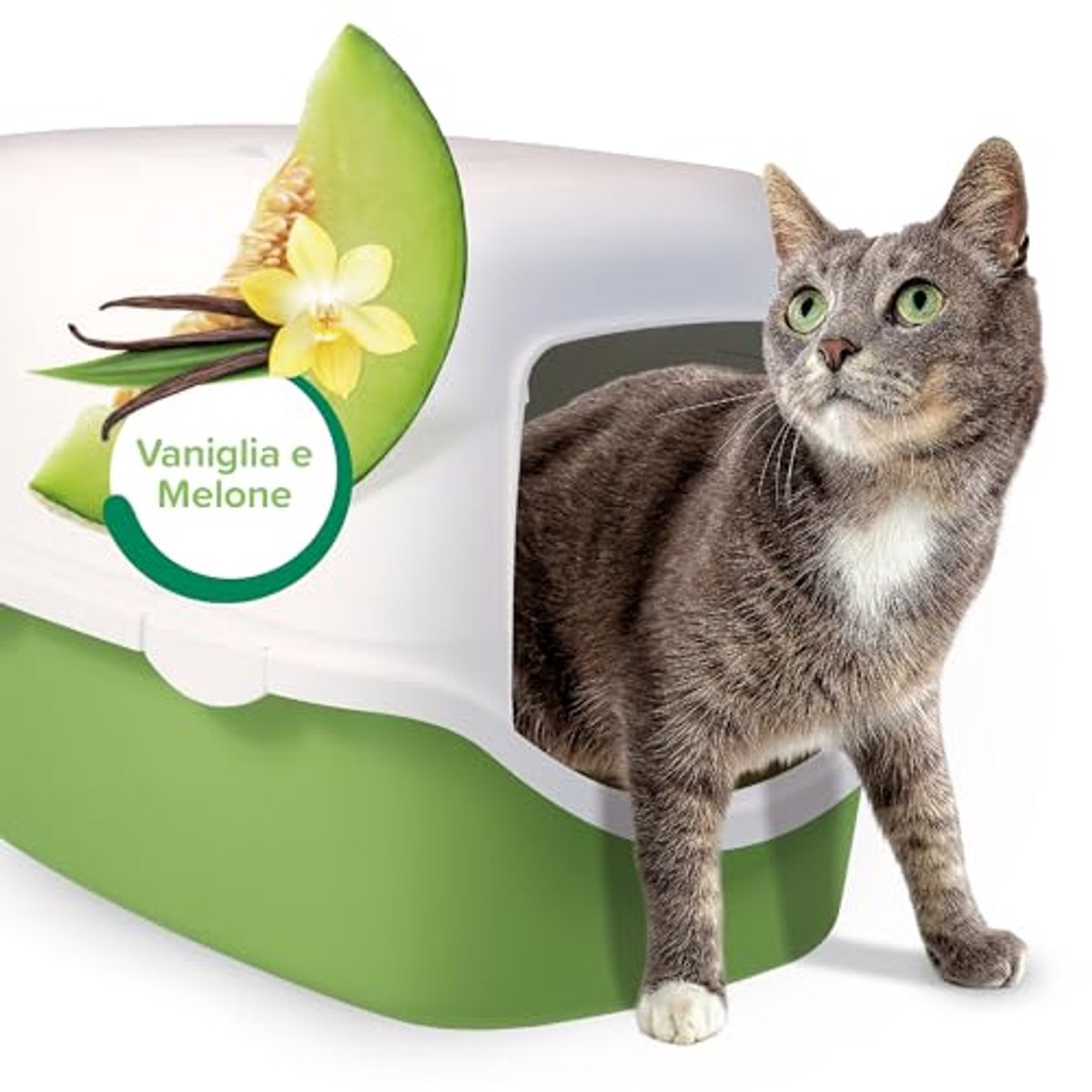 Miniatuur van productfoto 3 van Geurabsorptie kattenbakgranulaat - Neutraliseert onaangename geuren met vanille meloen geur, 400g