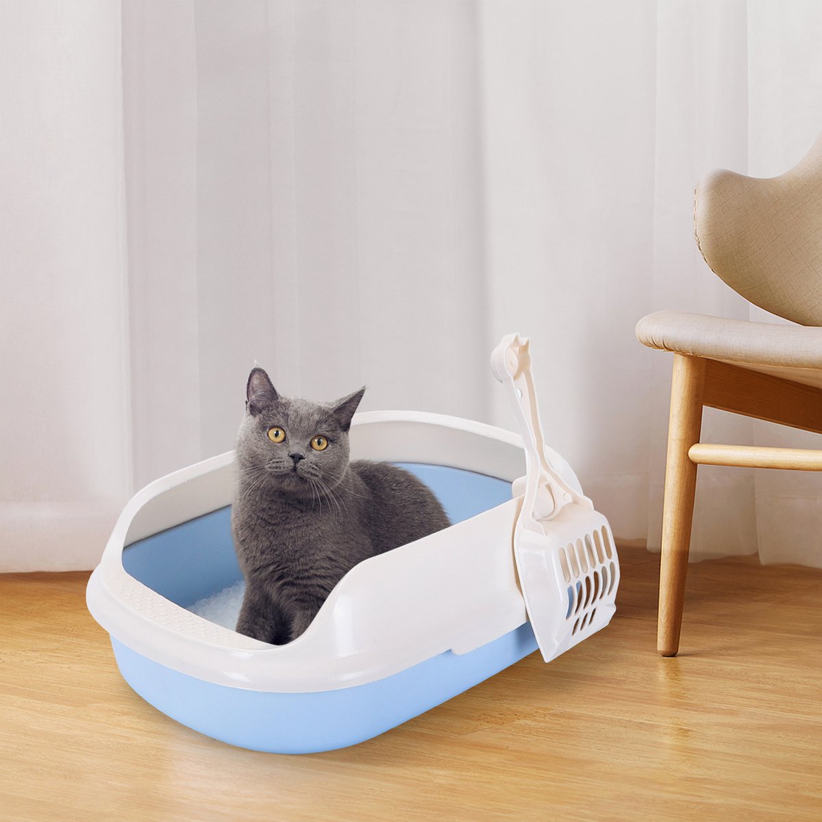 Miniatuur van productfoto 4 van Nobleza open kattenbak – Maat L – L55xB39xH19 cm – Open kattenbak – Kattentoilet – Kattenbak - Blauw