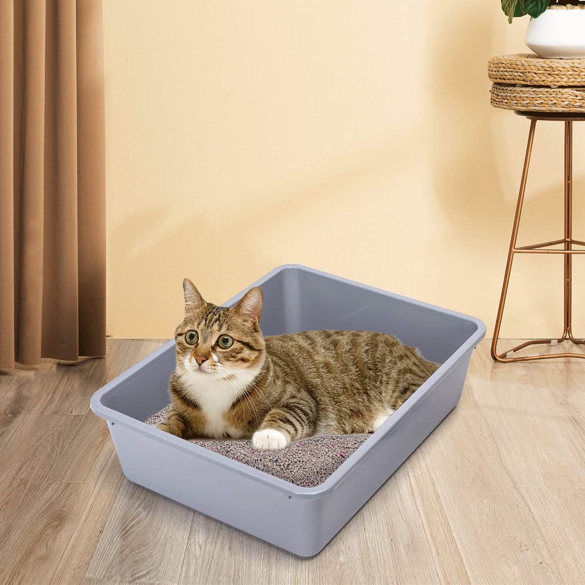 Miniatuur van productfoto 4 van Nobleza Open Kattenbak met Schepje - Kattentoilet - 43 x 32,5 x 12 cm - Grijs