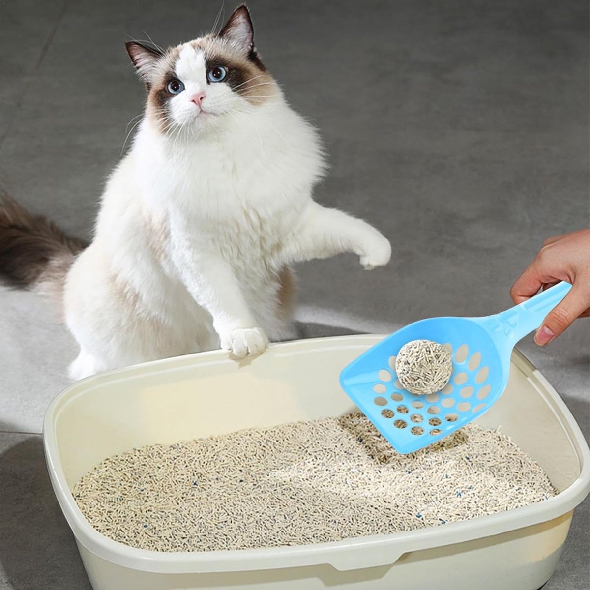 Miniatuur van productfoto 3 van Kattenbak Schep - Kattenzand Schep - Kattenbak Onderhoud - Ergonomisch Ontwerp - 25.5 cm - Blauw