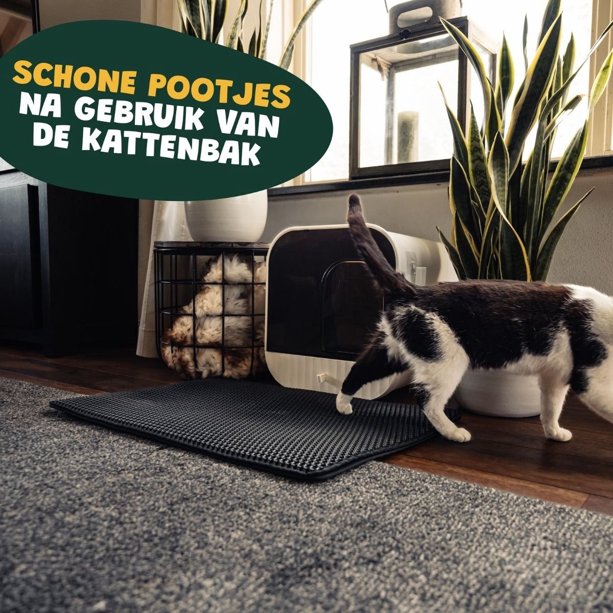 Miniatuur van productfoto 3 van De Blaffende Kat Kattenbakmat - Maat L - Uitloopmat kattenbak - Kattenbak Mat Zwart