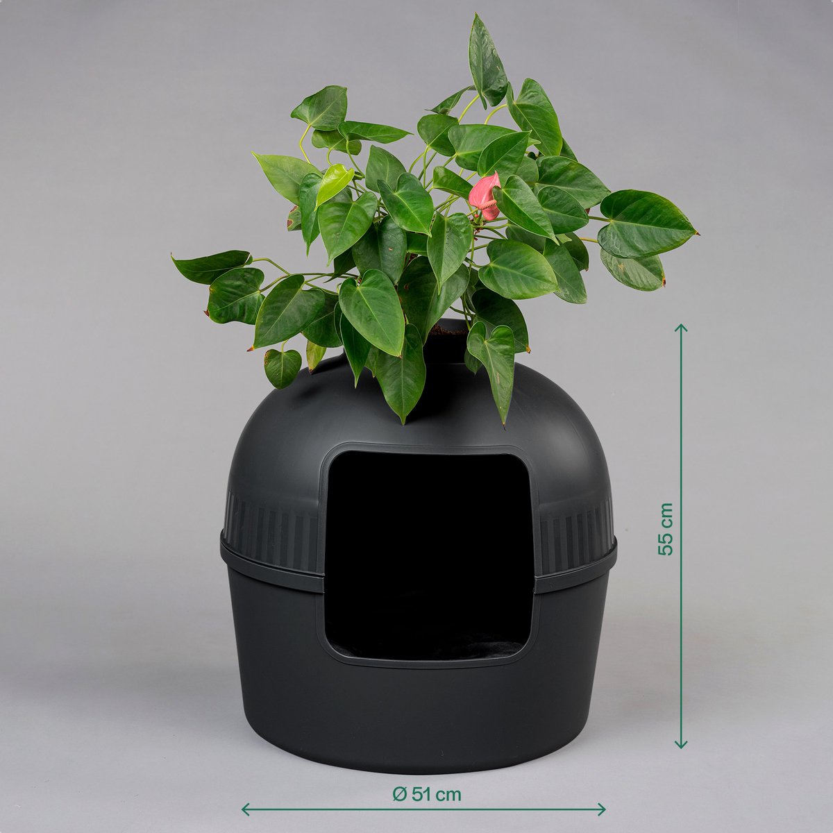 Productfoto 1 van RHRQuality Kattenbak Flower XXL Blackline – Verborgen Kattentoilet – Voor Grote Katten – Met Grote Ingang (51 cm) & Afneembare Bovenzijde – Zwart