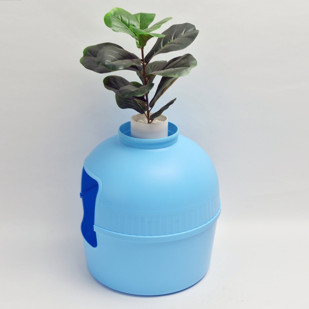 Productfoto 1 van RHRQuality Kattenbak - Flower XXL – Verborgen Kattentoilet – Voor Grote Katten – Met Grote Ingang (51 cm) & Afneembare Bovenzijde – Fris Blauw