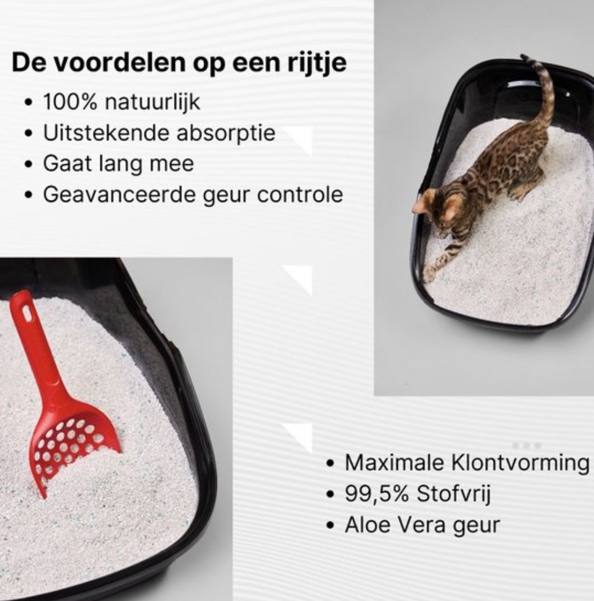 Productfoto 1 van Jadawa - Clean Step 100% Natuurlijk (2x10 Liter) - Kattenbakvulling - Multi Cat voor alle Kattensoorten - 99.5 % Stofvrij kattengrind - Kattenbakvulling klontvormend