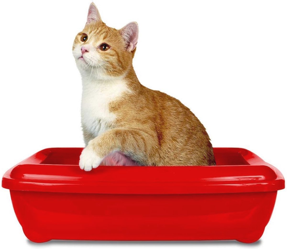 Miniatuur van productfoto 6 van Kattenbak Geurverwijderaar met Enzymatische Reiniging, 500 ml