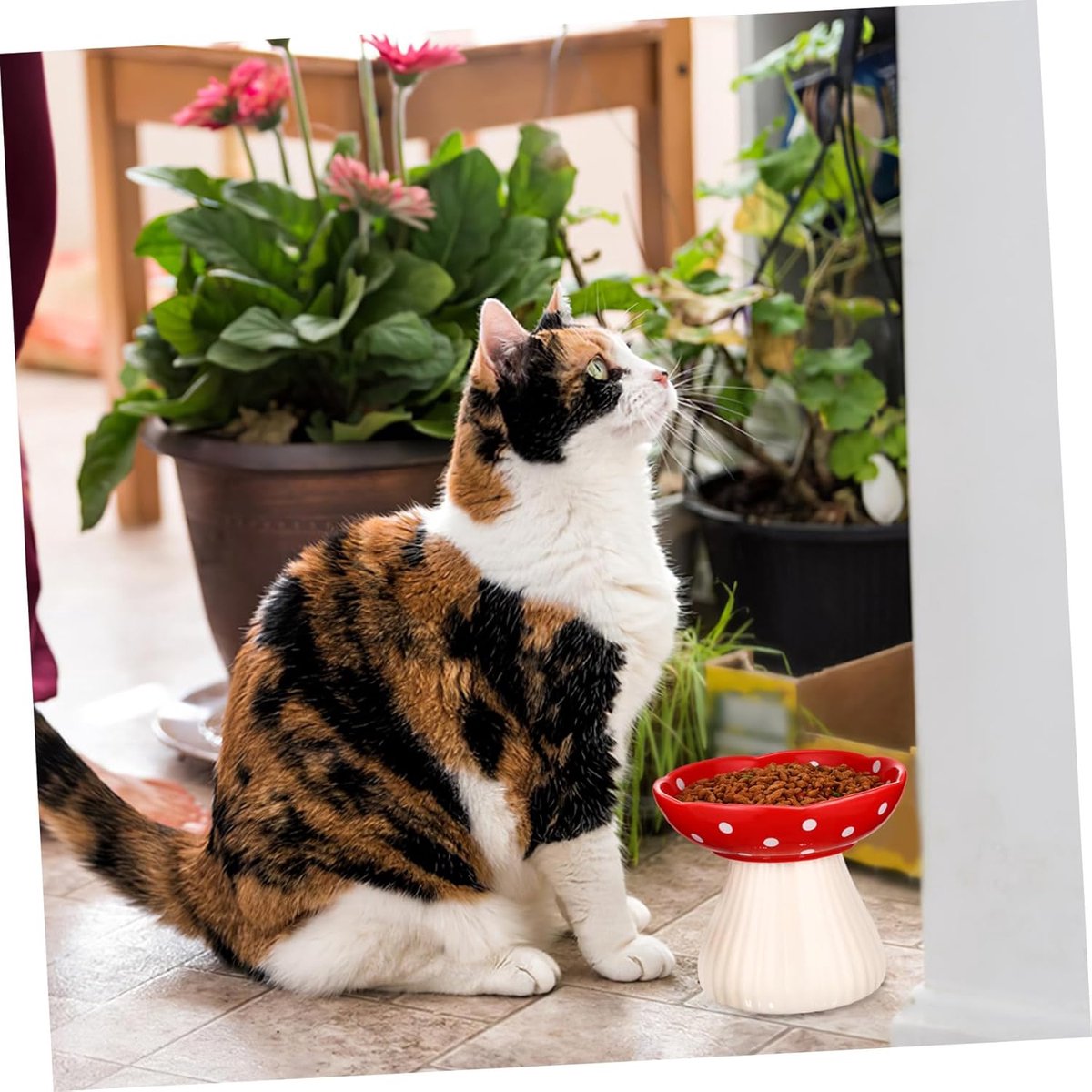 Miniatuur van productfoto 4 van Keramische Verhoogde Kattenvoerbak - Hoge Kattenbak Paddenstoel Voerbak - Comfortabel Voeren - Snorhaarvriendelijk Ontwerp